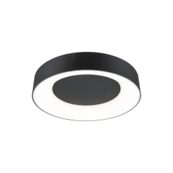 Arbejdsrum/Kontor|Loftlamper ^ Paulmann HomeSpa Casca loftlampe Ø40cm sort
