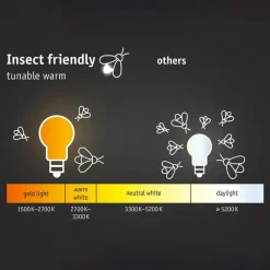 Væglampe Med Sensor ^ Paulmann Ikosea udendørs LED-væglampe, ZigBee 3.0