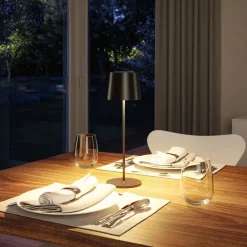 Dekorationsbelysning|Terrassebelysning ^ Paulmann LED-bordlampe Gilo, sort, plast, IP44