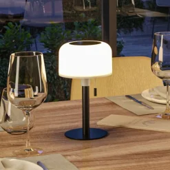 Solcellelamper ^ Paulmann LED-solcellelampe Bartja, sort, IP44 dæmpbar
