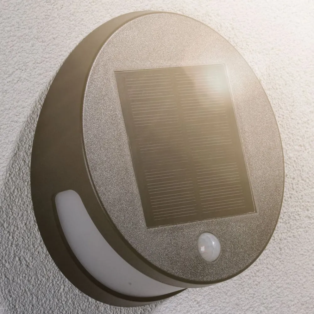 Solcelle Lampe Med Sensor|Væglampe Med Sensor ^ Paulmann LED-solcellevæglampe Helena med sensor