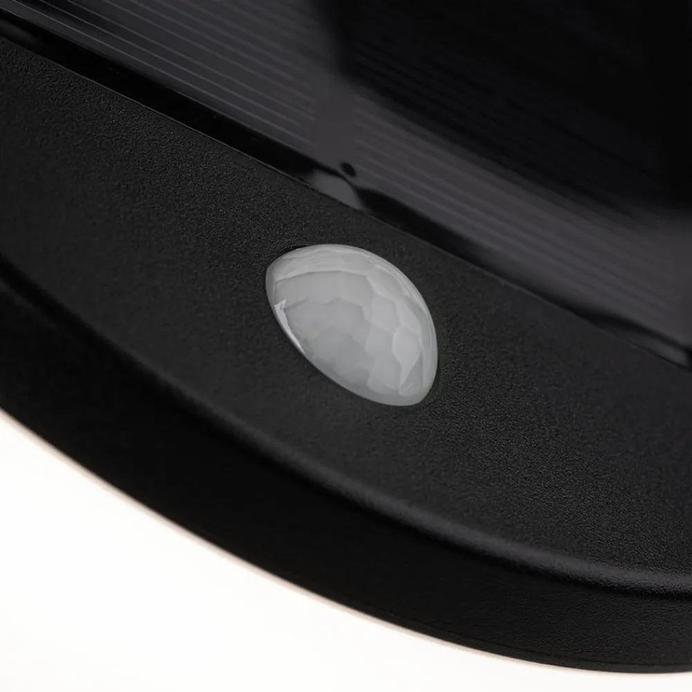 Solcelle Lampe Med Sensor|Væglampe Med Sensor ^ Paulmann LED-solcellevæglampe Helena med sensor
