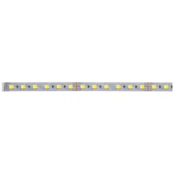 Paulmann Led Strips > MaxLED 500 stripe IP20, tunable white 1 m