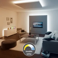 Paulmann Led Strips > MaxLED 500 stripe IP20, tunable white 1 m