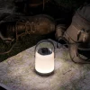 Paulmann Dekorationsbelysning|Terrassebelysning > mobil bordlampe Clutch, krom