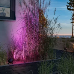 Terrassebelysning|Udendørs Spot ^ Paulmann Plug & Shine LED-spot Kikolo jordspyd, ZigBee, RGBW