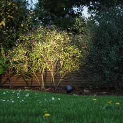 Terrassebelysning|Udendørs Spot ^ Paulmann Plug & Shine LED-spot Kikolo jordspyd, ZigBee, RGBW