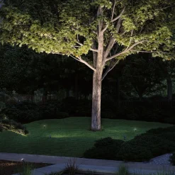 Paulmann Udendørs Spot > Plug & Shine LED spot med jordspyd Radon