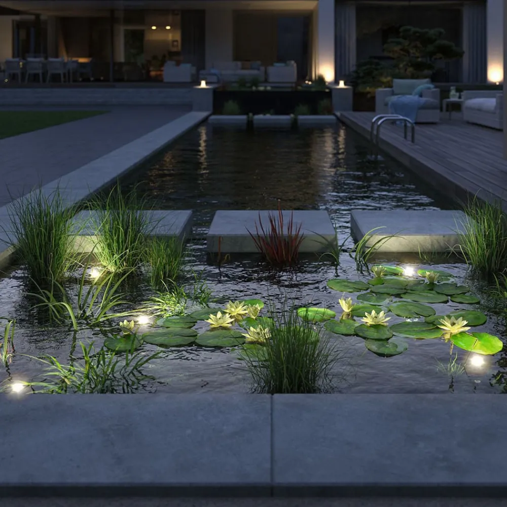 Fontæne- Og Undervandsbelysning ^ Paulmann Plug & Shine Pool Spot, IP68