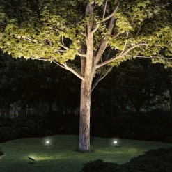 Paulmann Udendørs Spot > Plug & Shine projektør med spids 16W