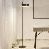 Gulvlamper|Gulvlamper ^ Paulmann Smart LED-gulvlampe Jagun, antracit, 151 cm filt