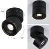 Paulmann Loftlamper > Spircle LED-downlight, mat sort