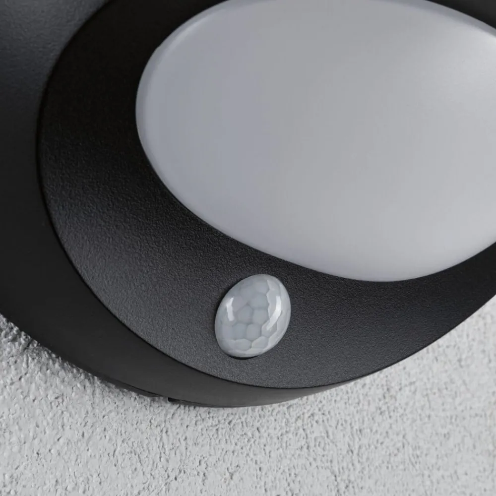Solcelle Lampe Med Sensor|Væglampe Med Sensor ^ Paulmann udendørs LED-væglampe Sorova, sensor, antracit