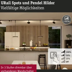 Paulmann Arbejdsrum/Kontor|Skinnesystem > URail Hildor LED-pendel 3.000K sort