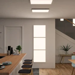 Paulmann Arbejdsrum/Kontor|Loftlamper > Velora LED-panel, 3-step-dim, 59,5x29,5cm