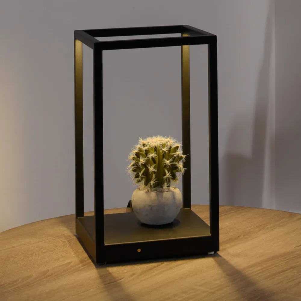 Paul Neuhaus Bordlamper > Contura LED-bordlampe i sort