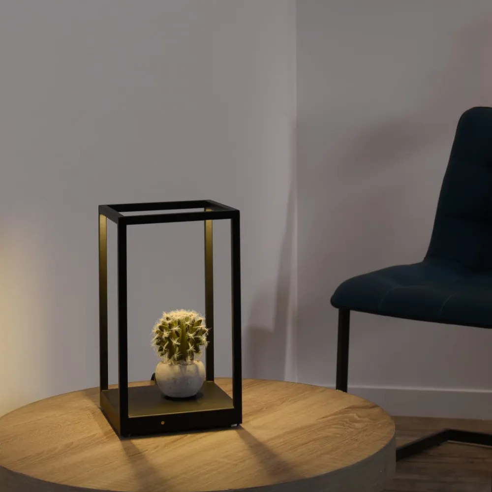 Paul Neuhaus Bordlamper > Contura LED-bordlampe i sort