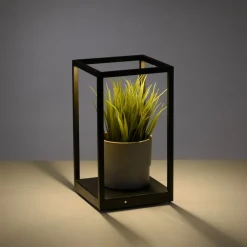 Paul Neuhaus Bordlamper > Contura LED-bordlampe i sort