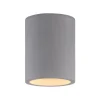 Paul Neuhaus Loftlamper > Eton loftlampe, grå, beton, Ø 11 cm, GU10