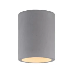Paul Neuhaus Loftlamper > Eton loftlampe, grå, beton, Ø 11 cm, GU10