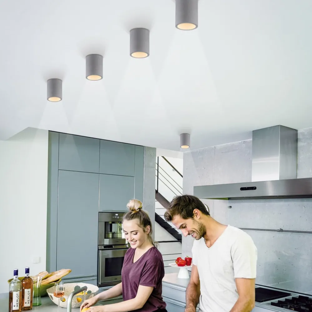 Paul Neuhaus Loftlamper > Eton loftlampe, grå, beton, Ø 11 cm, GU10