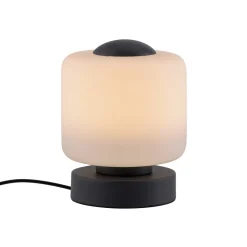 Paul Neuhaus Bordlamper > LED-bordlampe Bota, antracit, glas, dæmpbar