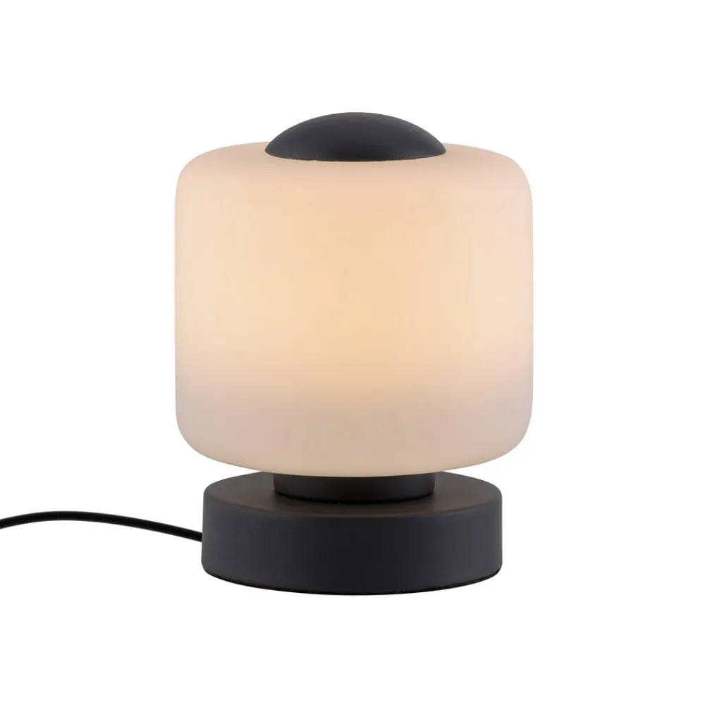 Paul Neuhaus Bordlamper > LED-bordlampe Bota, antracit, glas, dæmpbar