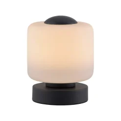 Paul Neuhaus Bordlamper > LED-bordlampe Bota, antracit, glas, dæmpbar