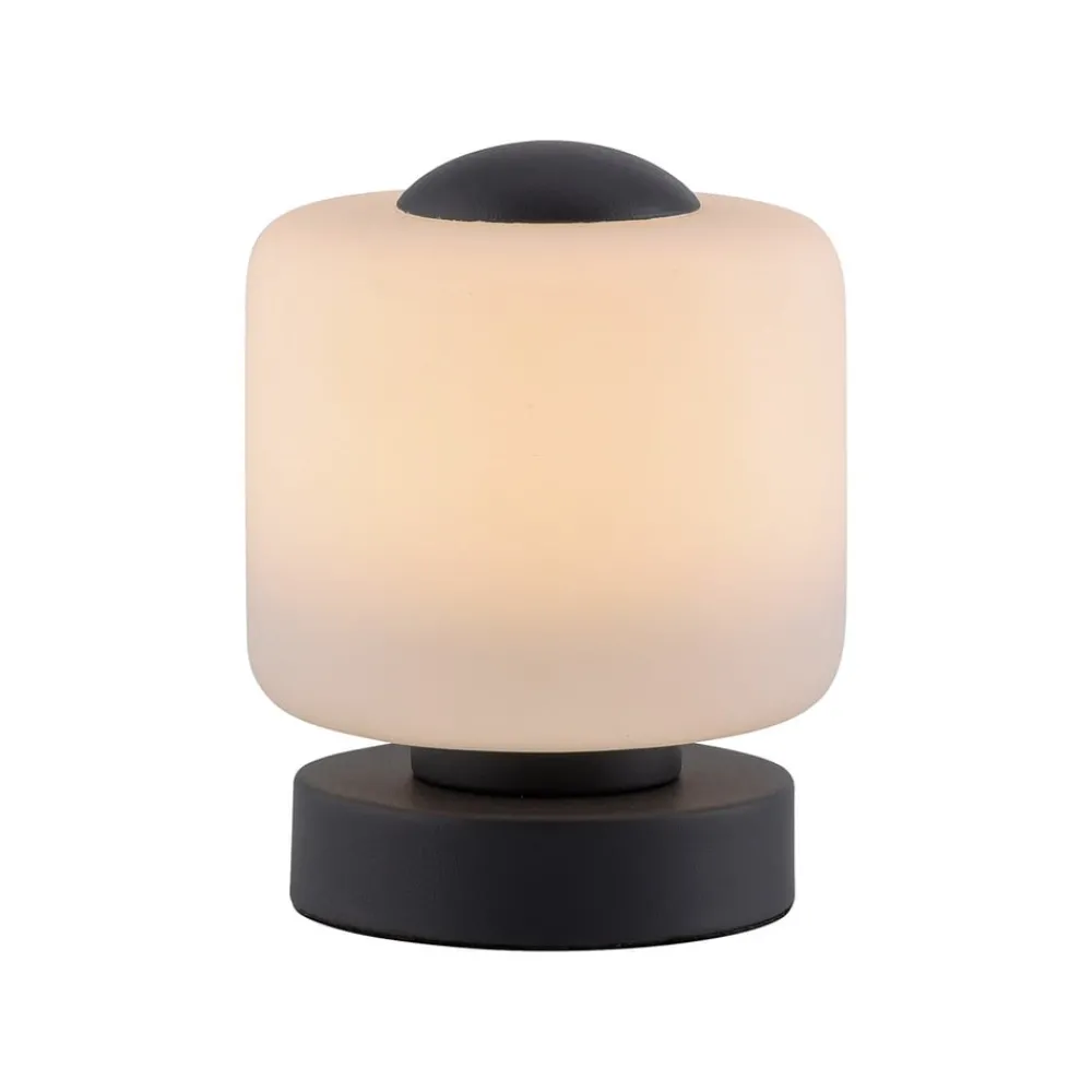Paul Neuhaus Bordlamper > LED-bordlampe Bota, antracit, glas, dæmpbar