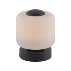 Paul Neuhaus Bordlamper > LED-bordlampe Bota, antracit, glas, dæmpbar