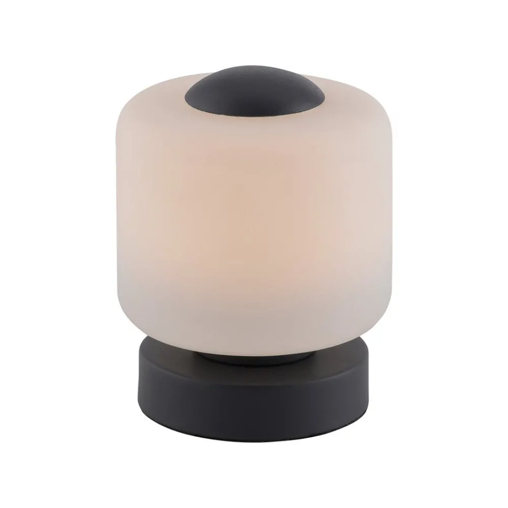Paul Neuhaus Bordlamper > LED-bordlampe Bota, antracit, glas, dæmpbar