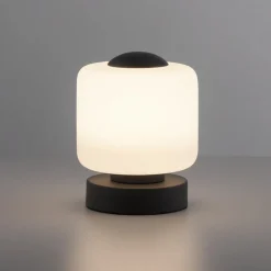 Paul Neuhaus Bordlamper > LED-bordlampe Bota, antracit, glas, dæmpbar