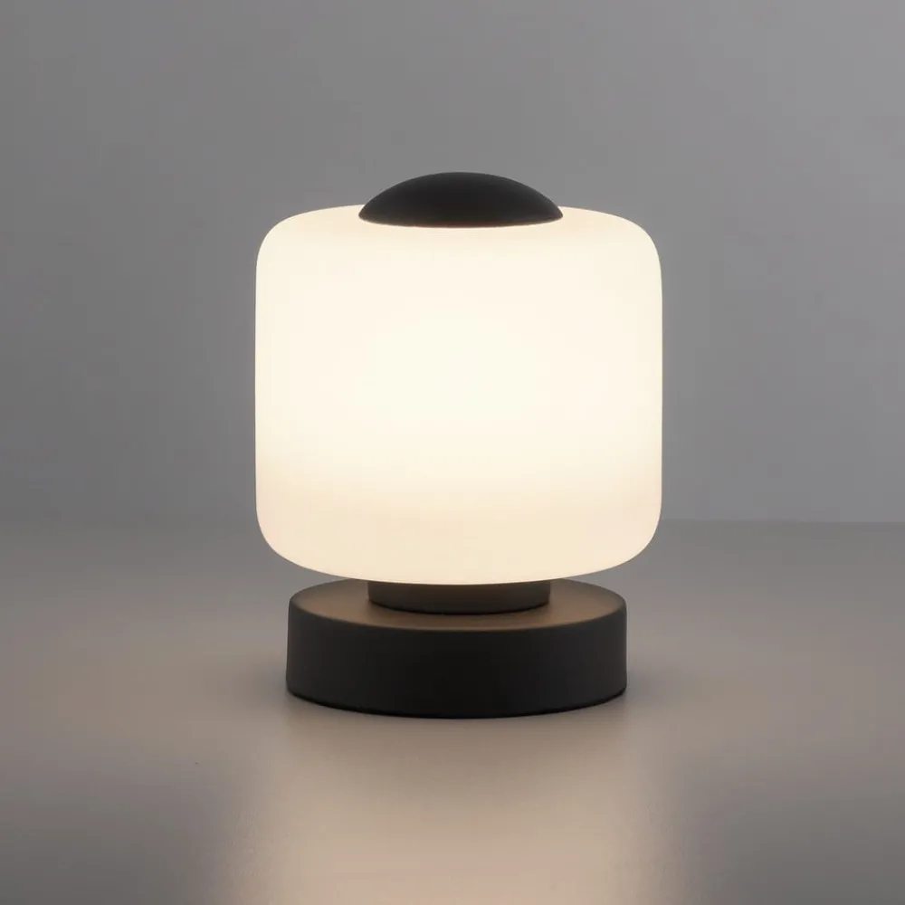 Paul Neuhaus Bordlamper > LED-bordlampe Bota, antracit, glas, dæmpbar