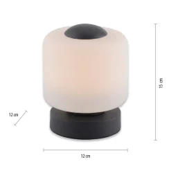 Paul Neuhaus Bordlamper > LED-bordlampe Bota, antracit, glas, dæmpbar