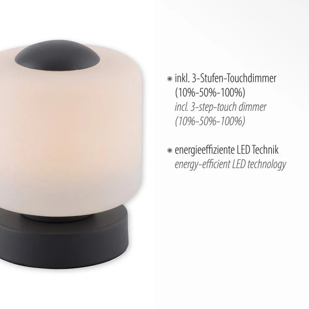 Paul Neuhaus Bordlamper > LED-bordlampe Bota, antracit, glas, dæmpbar