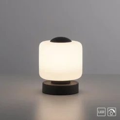 Paul Neuhaus Bordlamper > LED-bordlampe Bota, antracit, glas, dæmpbar