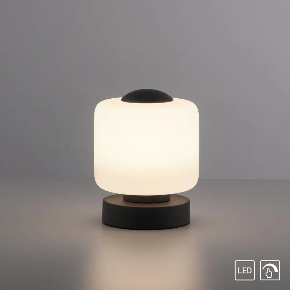 Paul Neuhaus Bordlamper > LED-bordlampe Bota, antracit, glas, dæmpbar