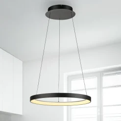Paul Neuhaus Pendellamper|Pendellamper > LED-hængelampe Hoop, sort, Ø 57 cm, dæmpbar