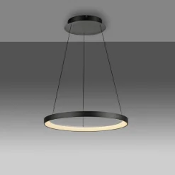 Paul Neuhaus Pendellamper|Pendellamper > LED-hængelampe Hoop, sort, Ø 57 cm, dæmpbar