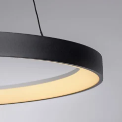 Paul Neuhaus Pendellamper|Pendellamper > LED-hængelampe Hoop, sort, Ø 57 cm, dæmpbar