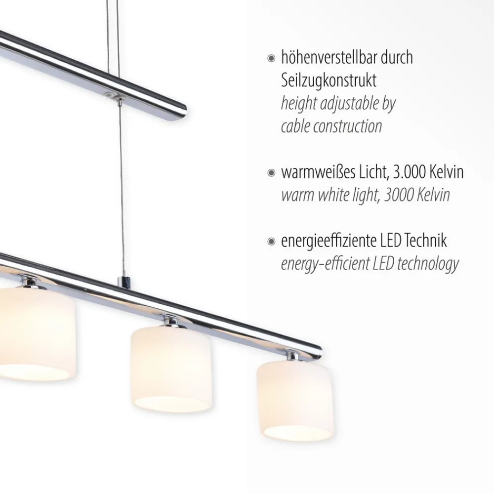 Pendellamper ^ Paul Neuhaus LED-hængelampe Hydra, stålfarvet, glas, 80 cm