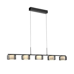Paul Neuhaus Pendellamper|Pendellamper > LED-hængelampe Rika, 119 cm, glas, dæmpbar