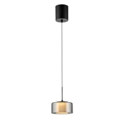 Paul Neuhaus Pendellamper|Pendellamper > LED-hængelampe Rika, Ø 15 cm, glas, dæmpbar