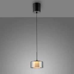 Paul Neuhaus Pendellamper|Pendellamper > LED-hængelampe Rika, Ø 15 cm, glas, dæmpbar