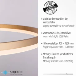 Pendellamper ^ Paul Neuhaus LED-hængelampe Titus, Ø 80 cm, messing, dæmpbar