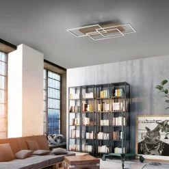Paul Neuhaus Loftlamper|Loftlamper > Palma LED-loftlampe CCT ramme