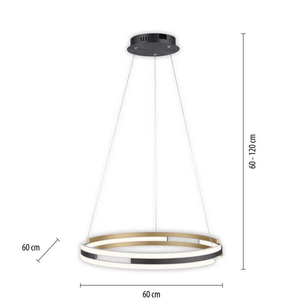Q-Smart-Home Pendellamper > Paul Neuhaus Q-Beluga LED-hængelampe, messing