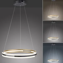 Q-Smart-Home Pendellamper > Paul Neuhaus Q-Beluga LED-hængelampe, messing