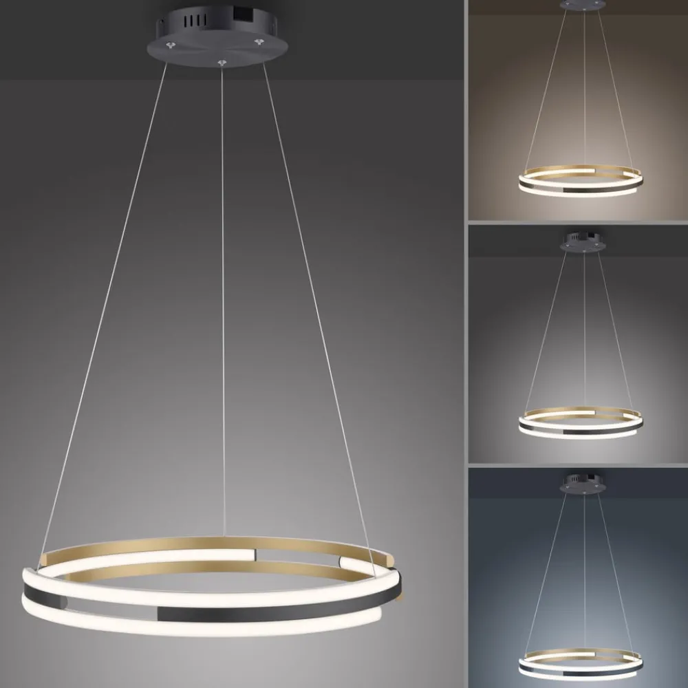 Q-Smart-Home Pendellamper > Paul Neuhaus Q-Beluga LED-hængelampe, messing