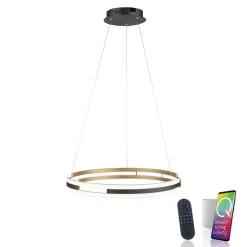 Q-Smart-Home Pendellamper > Paul Neuhaus Q-Beluga LED-hængelampe, messing